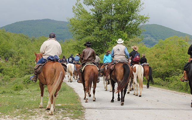 agriturismo-rio-torto-foto-05 Escursione a cavallo con partenza dall’Agriturismo Alfedena Abruzzo, tra sentieri silenziosi e paesaggi verdi nel cuore del Parco Nazionale.