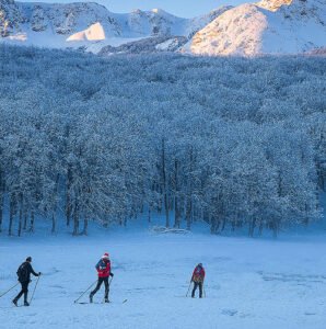 Esperienza autentica tra natura e silenzio durante le vacanze invernali Roccaraso: sci di fondo immersi nei boschi del Parco Nazionale.