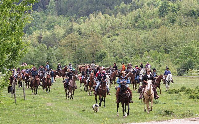agriturismo-rio-torto-foto-attivita-1 Giornata di festa durante le passeggiate a cavallo Abruzzo: un’esperienza autentica tra amici, sentieri e panorami mozzafiato.