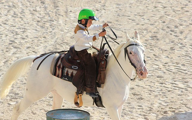 agriturismo-rio-torto-foto-attivita-4 Primo approccio equestre per i più piccoli durante le passeggiate a cavallo Abruzzo: sicurezza, divertimento e passione fin da bambini.